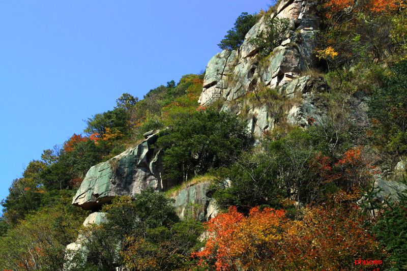 1493002976726204.jpg 期.jpg